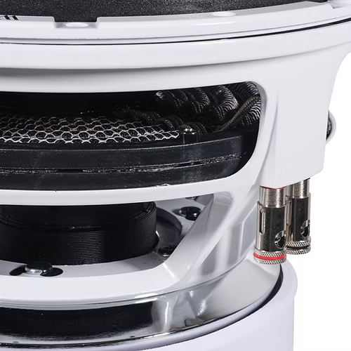 Audio Ace Jester Series 12" Subwoofer Dual 2 Ohm