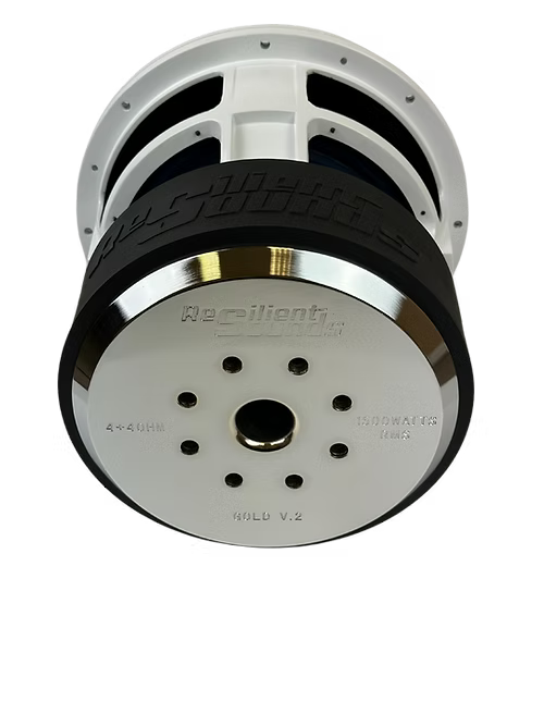 Resilient Sounds Gold V2 Series 10" Subwoofer