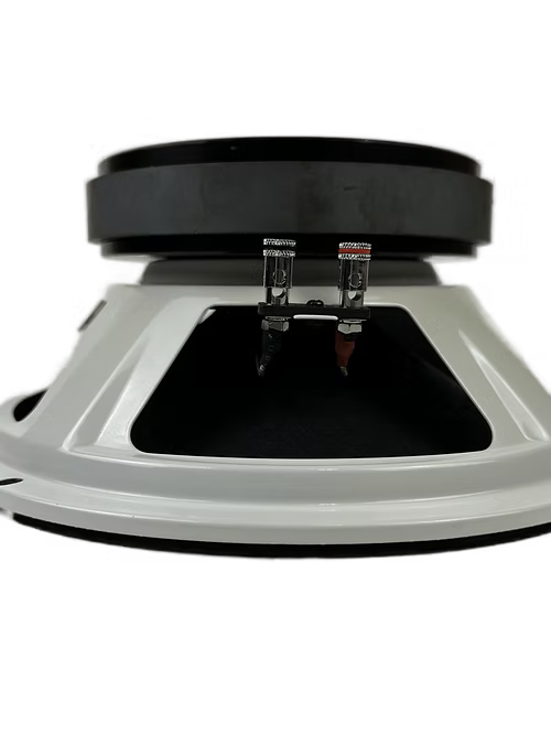 Resilient Sounds RS 10M 10" Pro Audio Midrange Loudspeaker (single) - Trinity Car Audio