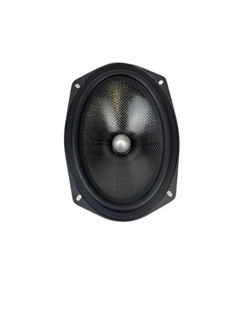 Resilient Sounds ES 69C 6" x 9" Pro Audio Midrange Loudspeaker (Pair)