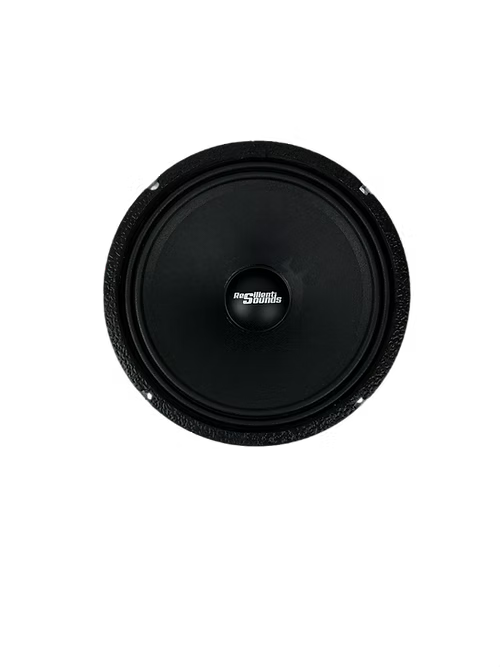 Resilient Sounds RS 10M 10" Pro Audio Midrange Loudspeaker (single) - Trinity Car Audio