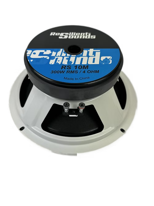 Resilient Sounds RS 10M 10" Pro Audio Midrange Loudspeaker (single) - Trinity Car Audio