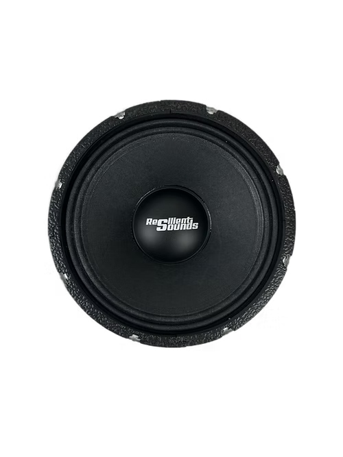 Resilient Sounds RS NEO 10" Pro Audio Midrange Loudspeaker (single) - Trinity Car Audio
