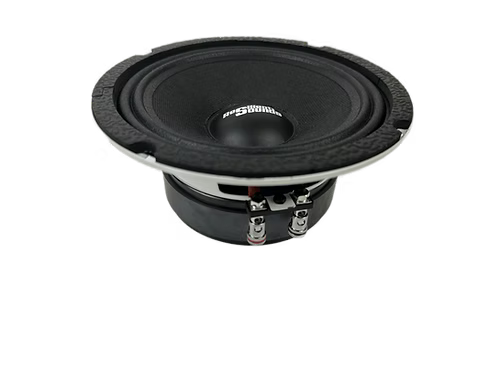 Resilient Sounds RS 65M 6.5" Pro Audio Midrange Loudspeaker (single) - Trinity Car Audio