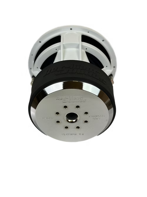 Resilient Sounds Platinum V2 Series 12" Subwoofer