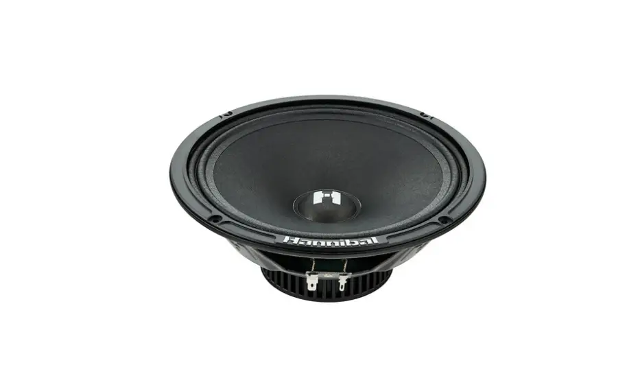 Deaf Bonce Deaf Bonce Hannibal HM-8E 8" Mid-Range Speakers (Pair) - Car Audio