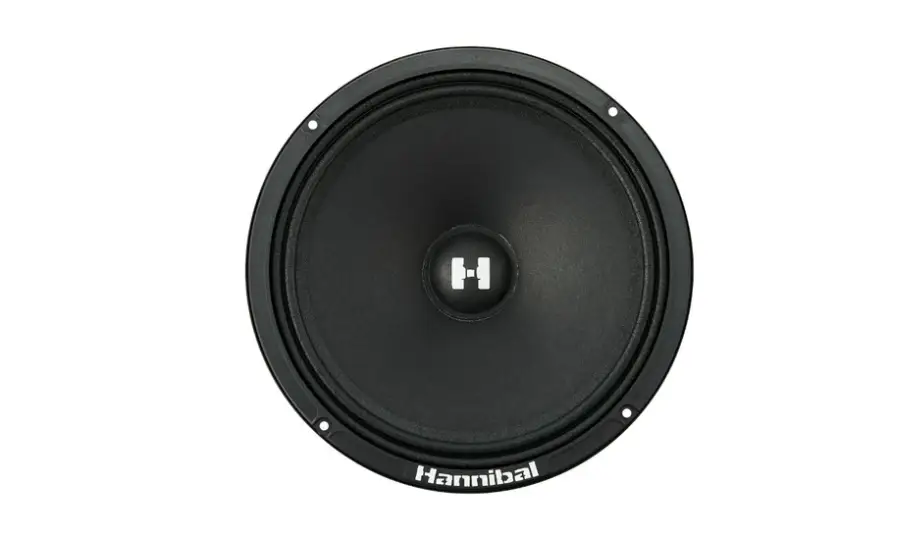 Deaf Bonce Deaf Bonce Hannibal HM-8E+ 8" Mid-Range Speakers (Pair) - Car Audio