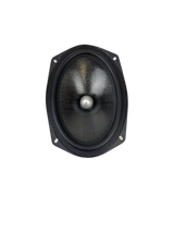 Resilient Sounds ES 69C 6" x 9" Pro Audio Midrange Loudspeaker (Pair)