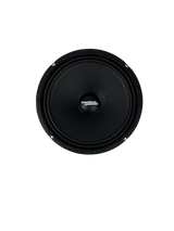 Resilient Sounds RS 10M 10" Pro Audio Midrange Loudspeaker (single)