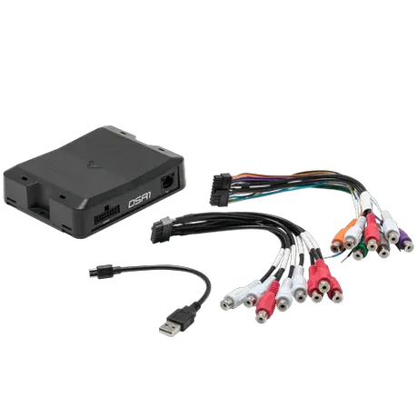 A Rockford Fosgate 8-Channel Interactive Signal Processor with Integrated iDatalink Maestro Module (DSR1), shown in black, is displayed alongside a USB cable and multiple colorful audio and power cables with assorted connectors, all arranged on a white background.